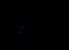 /img/posts/2021/05/210518-yang-getty-773-240x172.jpg