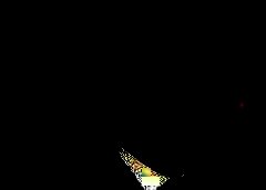 /img/posts/2021/05/210519-broidy-ap-773-240x172.jpg