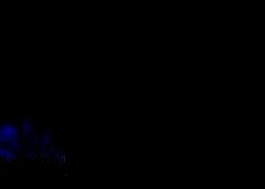 /img/posts/2021/05/ap19066713604304-1-240x172.jpg