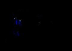 /img/posts/2021/05/ap21133825050181-1-240x172.jpg