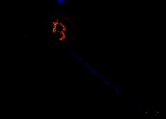 /img/posts/2021/05/hash342222-768x432-1-240x172.jpg