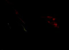 /img/posts/2021/05/india-768x432-1-240x172.jpg
