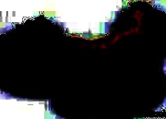 /img/posts/2021/05/inner-768x432-1-240x172.jpg
