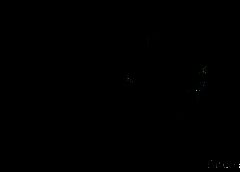 /img/posts/2021/05/kenya45-768x432-1-240x172.jpg
