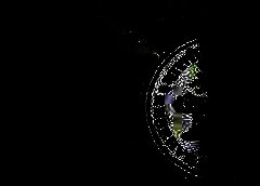 /img/posts/2021/05/rbi-768x432-1-240x172.jpg