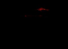 /img/posts/2021/05/shutterstock_1184672827-768x432-1-240x172.jpg