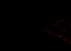 /img/posts/2021/05/shutterstock_1743274004-768x432-1-240x172.jpg