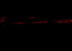/img/posts/2021/05/shutterstock_1764734210-768x432-1-240x172.jpg