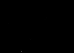 /img/posts/2021/05/shutterstock_1886230975-768x432-1-240x172.jpg