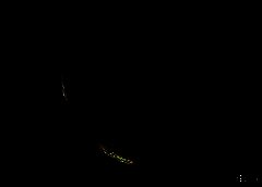 /img/posts/2021/05/taprorost-768x432-1-240x172.jpg