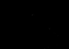 /img/posts/2021/05/webp.net-resizeimage2520286729-240x172.jpg