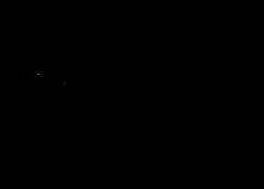 /img/posts/2021/06/2010whales-768x432-1-240x172.jpg
