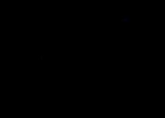 /img/posts/2021/06/210616-clyde-ap-773-240x172.jpg