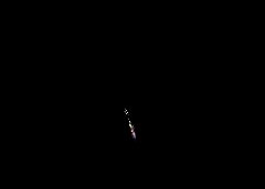 /img/posts/2021/06/210617-fried-ap-773-240x172.jpg