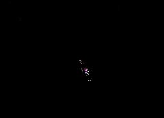 /img/posts/2021/06/210617-harris-ap-773-240x172.jpg