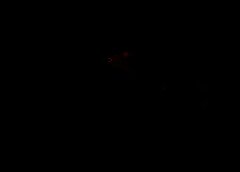 /img/posts/2021/06/ap21104683831468-1-240x172.jpg