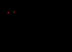 /img/posts/2021/06/ap21155540503885-c-240x172.jpg