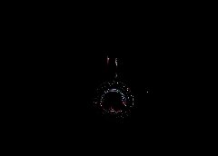 /img/posts/2021/06/ap21157031578729-1-240x172.jpg