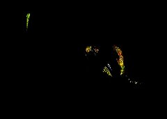 /img/posts/2021/06/gettyimages-1325261017-1-240x172.jpg