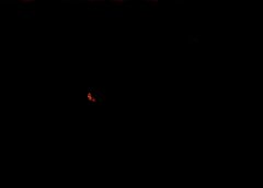 /img/posts/2021/06/img-6277-1-240x172.jpg