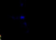 /img/posts/2021/06/infosys-768x432-1-240x172.jpg