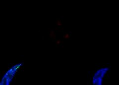 /img/posts/2021/06/jje5s8d88d-768x432-1-240x172.jpg