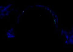/img/posts/2021/06/minerd-15k-768x432-1-240x172.jpg
