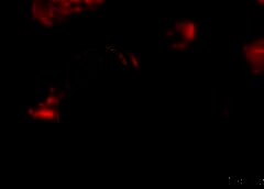 /img/posts/2021/06/nftsdd-768x432-1-240x172.jpg