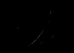 /img/posts/2021/06/ross-768x432-1-240x172.jpg