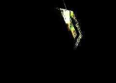 /img/posts/2021/06/sebi-768x432-1-240x172.jpg