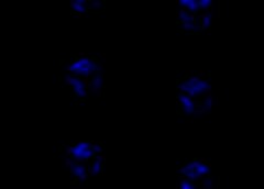 /img/posts/2021/06/shutterstock_1107241064-768x432-1-240x172.jpg