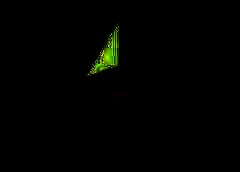 /img/posts/2021/06/shutterstock_1775939003-768x432-1-240x172.jpg