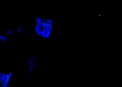 /img/posts/2021/06/shutterstock_1808630479-768x432-1-240x172.jpg