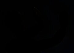 /img/posts/2021/06/shutterstock_190167215-768x432-1-240x172.jpg