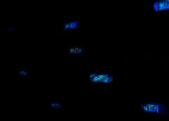 /img/posts/2021/06/shutterstock_1923689327-768x432-1-240x172.jpg