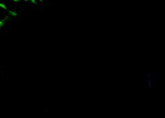 /img/posts/2021/06/shutterstock_1939035700-768x432-1-240x172.jpg