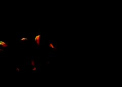 /img/posts/2021/06/shutterstock_1963250590-768x432-1-240x172.jpg