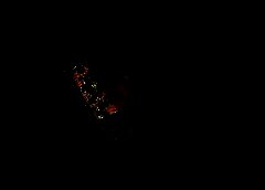 /img/posts/2021/06/shutterstock_719355487-768x432-1-240x172.jpg