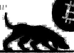 /img/posts/2021/06/trpcover-768x432-1-240x172.jpg