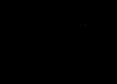 /img/posts/2021/07/2021-07-27-10-54-21-240x172.jpg