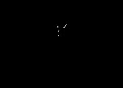 /img/posts/2021/07/210707-haiti-pres-ap-773-240x172.jpg