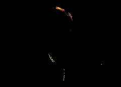 /img/posts/2021/07/210712-moran-ap-773-240x172.jpg