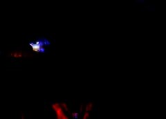 /img/posts/2021/07/7-19-21-defazio-ap-773-240x172.jpg