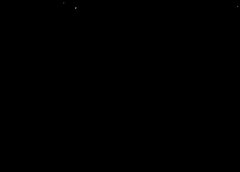 /img/posts/2021/07/ali-768x432-1-240x172.jpg
