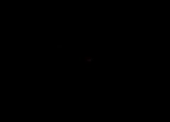 /img/posts/2021/07/ap21160850045071-1-240x172.jpg