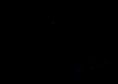 /img/posts/2021/07/ap21209814499881-1-1-240x172.jpg
