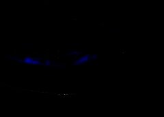 /img/posts/2021/07/bbd-768x432-1-240x172.jpg