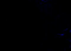 /img/posts/2021/07/bitcoin-big-part-of-twitter1a-768x432-1-240x172.jpg