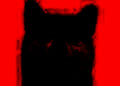 /img/posts/2021/07/bkdd-240x172.jpg