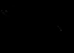 /img/posts/2021/07/busta777777-768x432-1-240x172.jpg